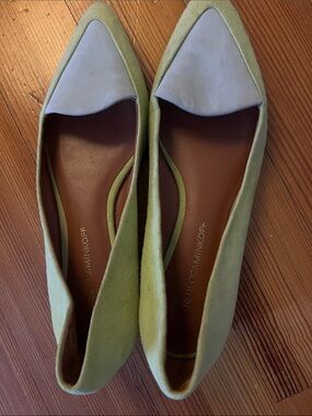 Rebecca Minkoff Two-Tone Green and Pale Blue Pointed Flats